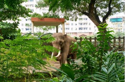 Saigon-zoo-and-botanical-gardens-ho-chi-minh-city-vietnam-3